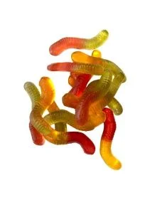 \фото\117537 2.jpg