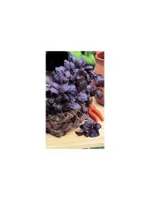 \фото\112783      (3).jpg