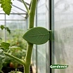 \фото\120680 1.jpg