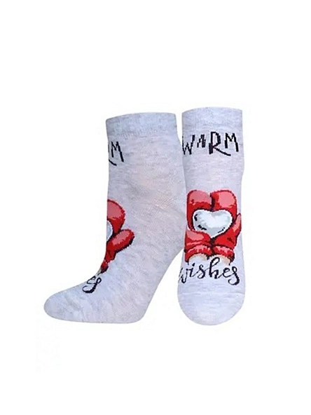 Носки жен. CLASSIC р.23, НГ в асс-те