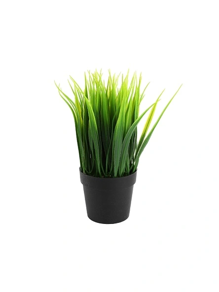 Цветок декоративный в горшке "Grass", 20 см