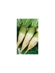 \фото\112799      (3).jpg