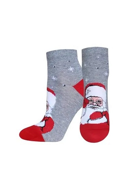 Носки жен. CLASSIC р.23, НГ в асс-те