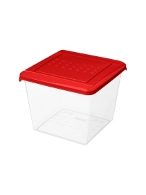 \фото\116536 1.jpg