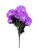 \фото\119915 1.jpg