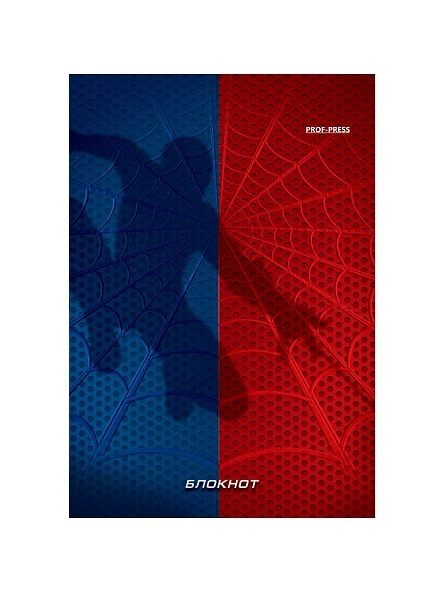 БЛОКНОТ А6 40л. в асс-те, на гребне, цвет.мелов.обл, блок-офсет ПХ, Б40-7341