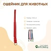 \фото\116321 2.jpg