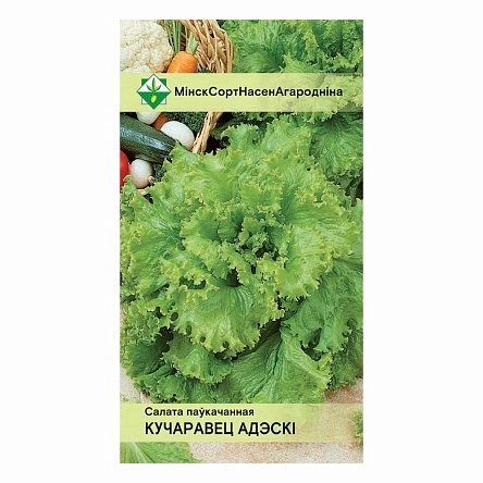 Салат Кучерявец Одесский полукочанный 0.5г