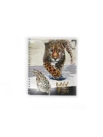 \фото\81162 (2).jpg