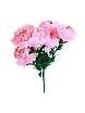 \фото\119889 1.jpg