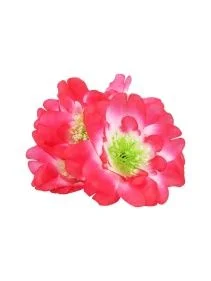 \фото\72281 (4).JPG