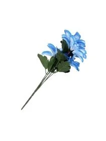 \фото\76724 (3).jpg