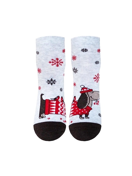 Носки жен. CLASSIC р.23, НГ в асс-те