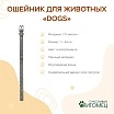 \фото\119237 2.jpg