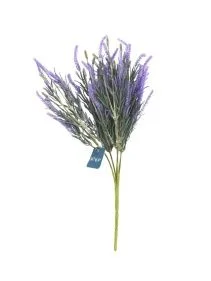 \фото\110233 2.jpg