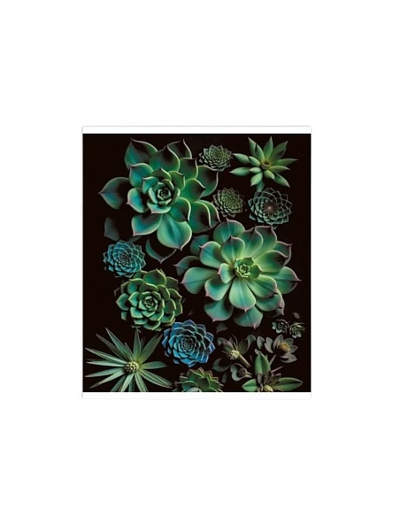 Тетрадь общая (скоба), ф.170х205мм, клетка, 96л., 4+0, ВЛU, конгревное тиснение, серия Кактус