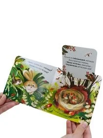 Прятки для самых маленьких. В ассортименте