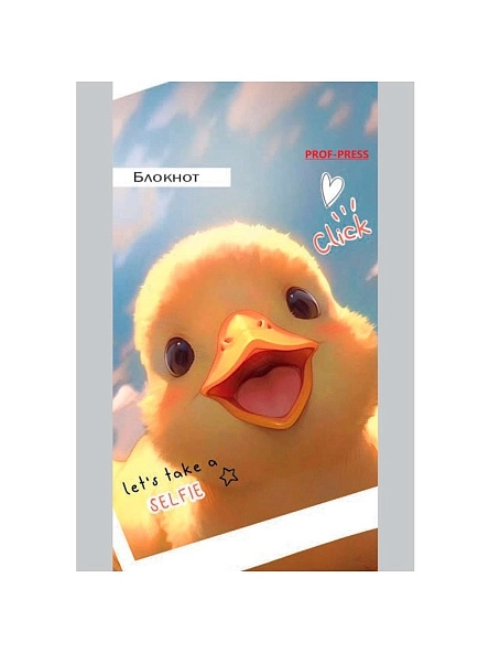 БЛОКНОТ А7 48л. на гребне в асс-те, цвет.мелов.обл, блок-офсет ПХ, Б48-7351