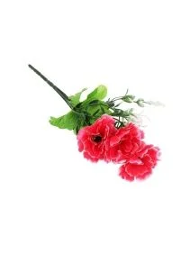 \фото\76725 (3).jpg