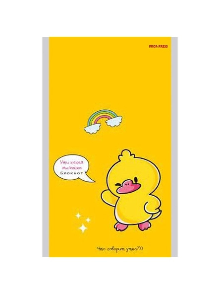 БЛОКНОТ А6 40л. в асс-те, на скрепке, цвет.мелов.обл, блок-офсет ПХ, Б40-7340