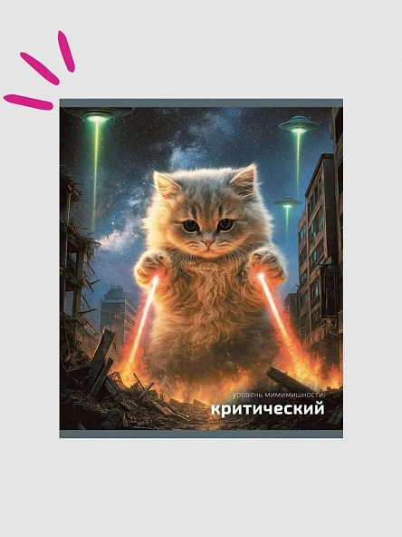 Тетрадь общая (скоба), ф.170х205мм, клетка, 48л., 4+0, СЛ з.№1551-25, серия BooBook