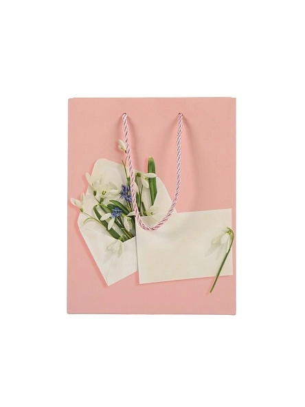 Пакет подарочный "Письмо", 23*18*10 см