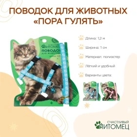 Поводок для животных "Пора гулять", 1 см * 1,2 м