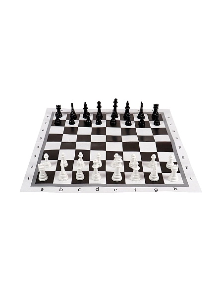 ШАХМАТЫ и ШАШКИ КЛАССИЧЕСКИЕ в ПАКЕТЕ поле 28,5х28,5 см