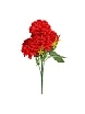 \фото\124152 1.jpg