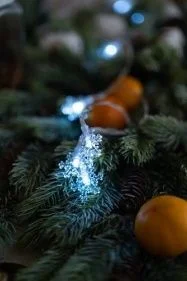 \фото\118776 2.jpg