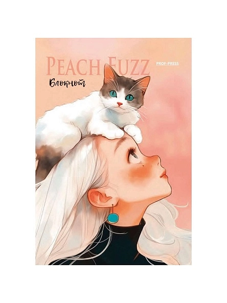 БЛОКНОТ А6 24л. в асс-те, на гребне, цвет.мелов.обл, блок-офсет ПХ, Б24-7339