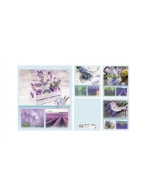 Тетрадь общая (скоба), ф.170х205мм, клетка, 96л., 4+0, СЛ, серия Природа 13 Лаванда