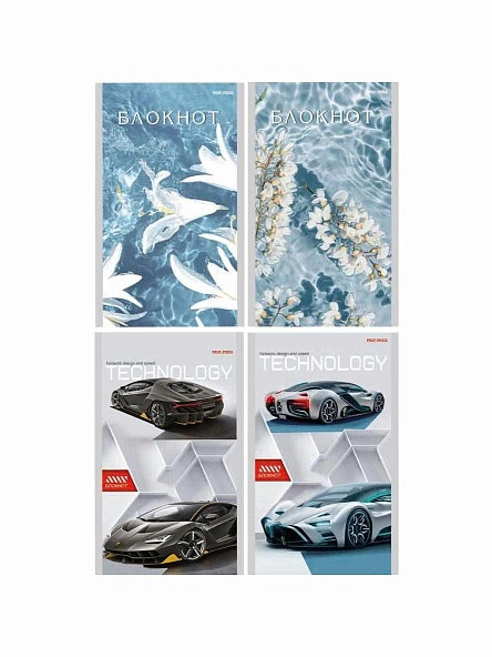 БЛОКНОТ А6 24л. в асс-те, на скрепке, цвет.мелов.обл, блок-офсет ПХ, Б24-7338