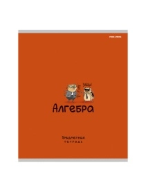 Тетрадь А5 , 48л, предметная тетрадь СТАНДАРТ  5 предметов в комплекте ПХ, Т48-7384