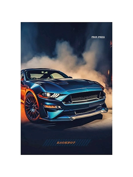 БЛОКНОТ А6 24л. в асс-те, на гребне, цвет.мелов.обл, блок-офсет ПХ, Б24-7339