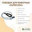\фото\113384 2.jpg