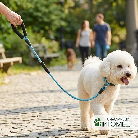 Поводок для животных "Super Dog", 1,0 см * 1,5 м