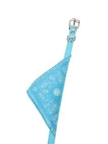 \фото\50874 2.jpg