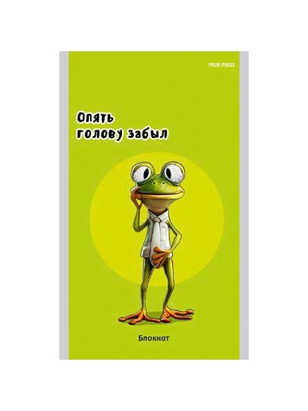БЛОКНОТ А6 40л. в асс-те, на скрепке, цвет.мелов.обл, блок-офсет ПХ, Б40-7340