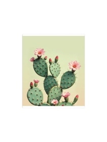 Тетрадь общая (скоба), ф.170х205мм, клетка, 96л., 4+0, ВЛU, конгревное тиснение, серия Кактус