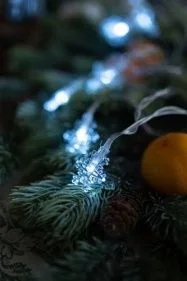 \фото\118776 1.jpg