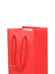 Пакет подарочный для вина "Несу праздник!", 11*38*11 см