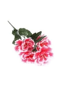 \фото\76719 (2).jpg