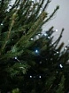 \фото\120132     1.jpg