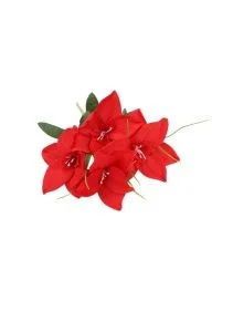 \фото\76731 (4).jpg