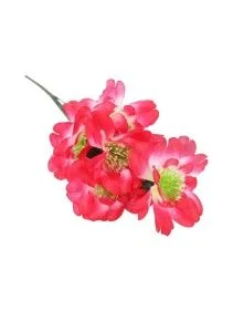 \фото\72281 (3).JPG