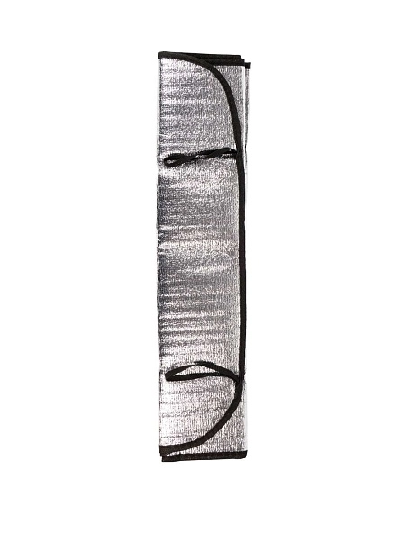 Экран солнцезащитный на лобовое стекло, 125*59 см (DX-409)