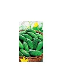 \фото\112791 1.jpg