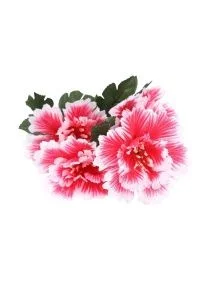 \фото\76719 (3).jpg