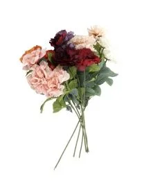 \фото\110235 3.jpg